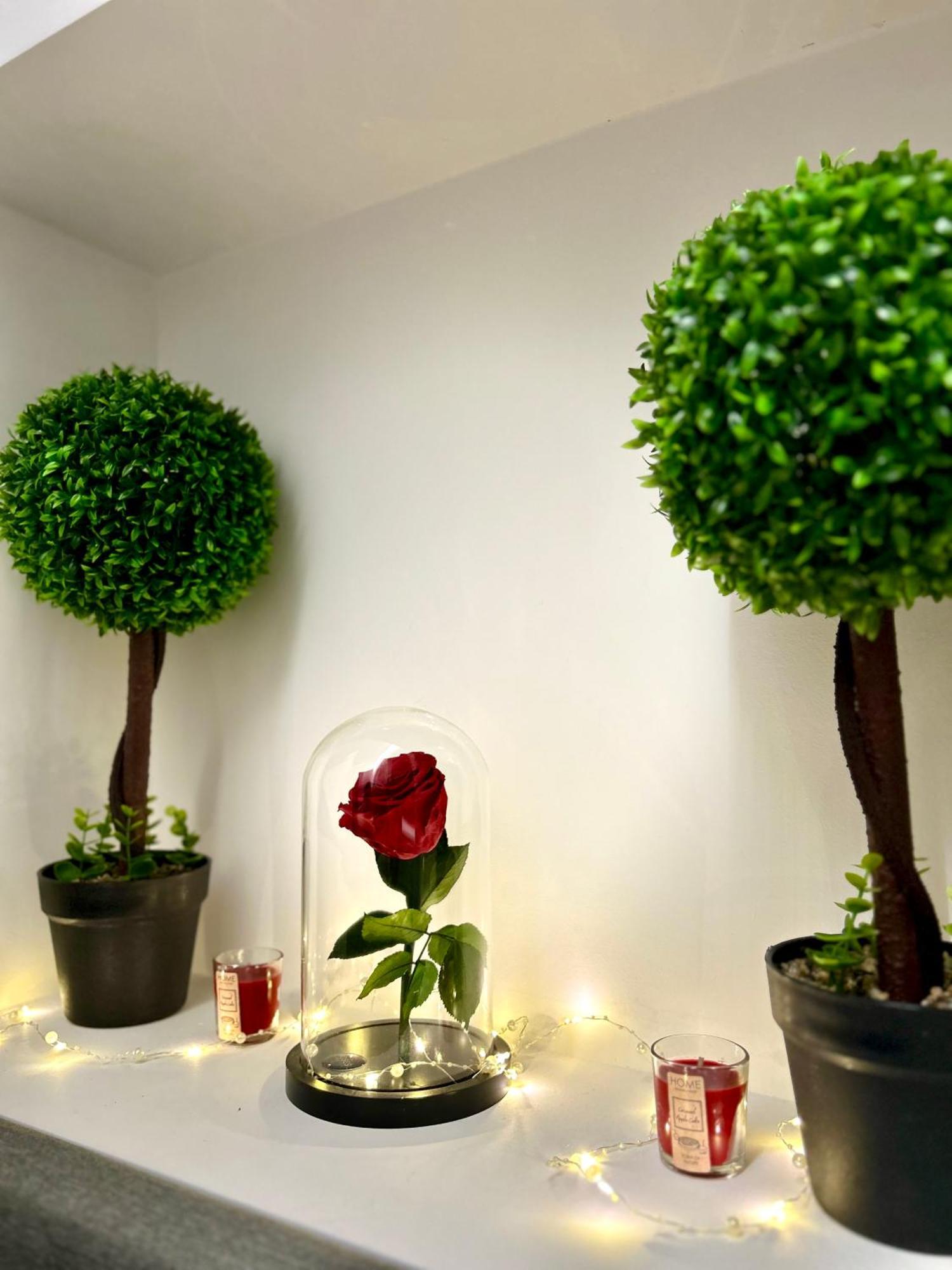 Apartment Antigonidon